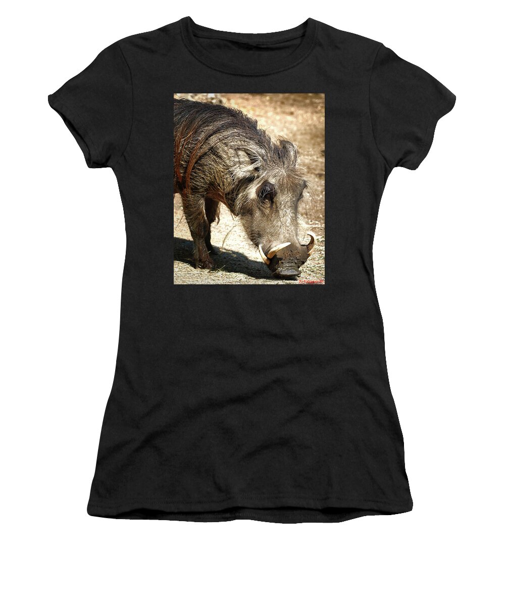 Warthog Women's T-Shirt featuring the photograph Warthog by Rene Vasquez