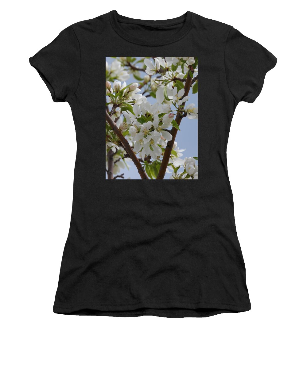  Flowers Women's T-Shirt featuring the photograph White Blossoms by Amanda R Wright