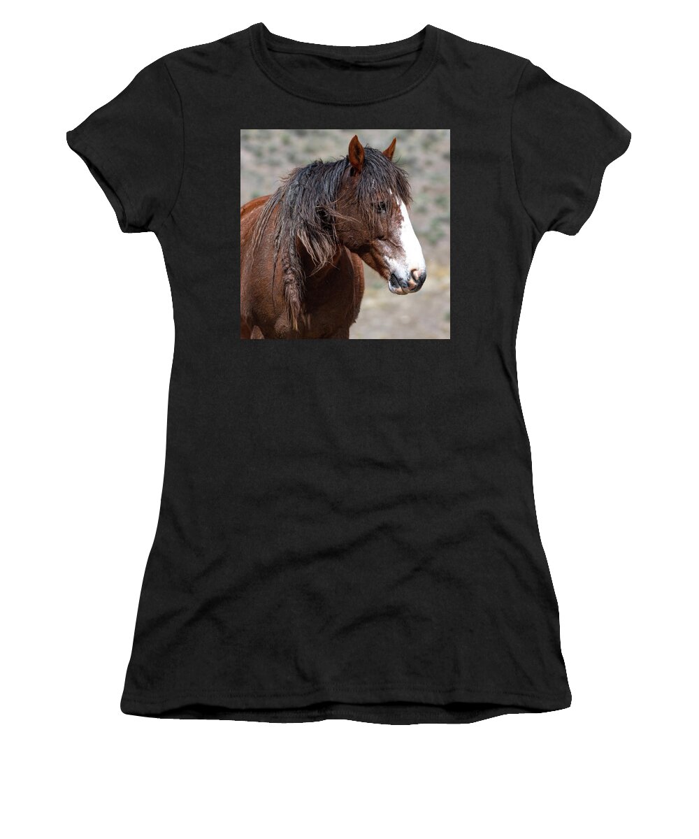 Wild Horses Women's T-Shirt featuring the photograph Wilder than you by Mary Hone