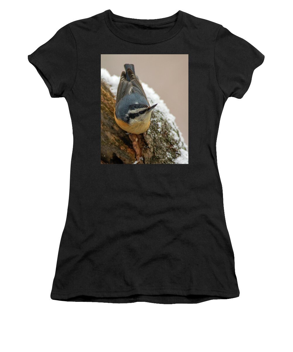 Red Breasted Nuthatch Women's T-Shirt featuring the photograph Winter Nuthatch by Timothy McIntyre