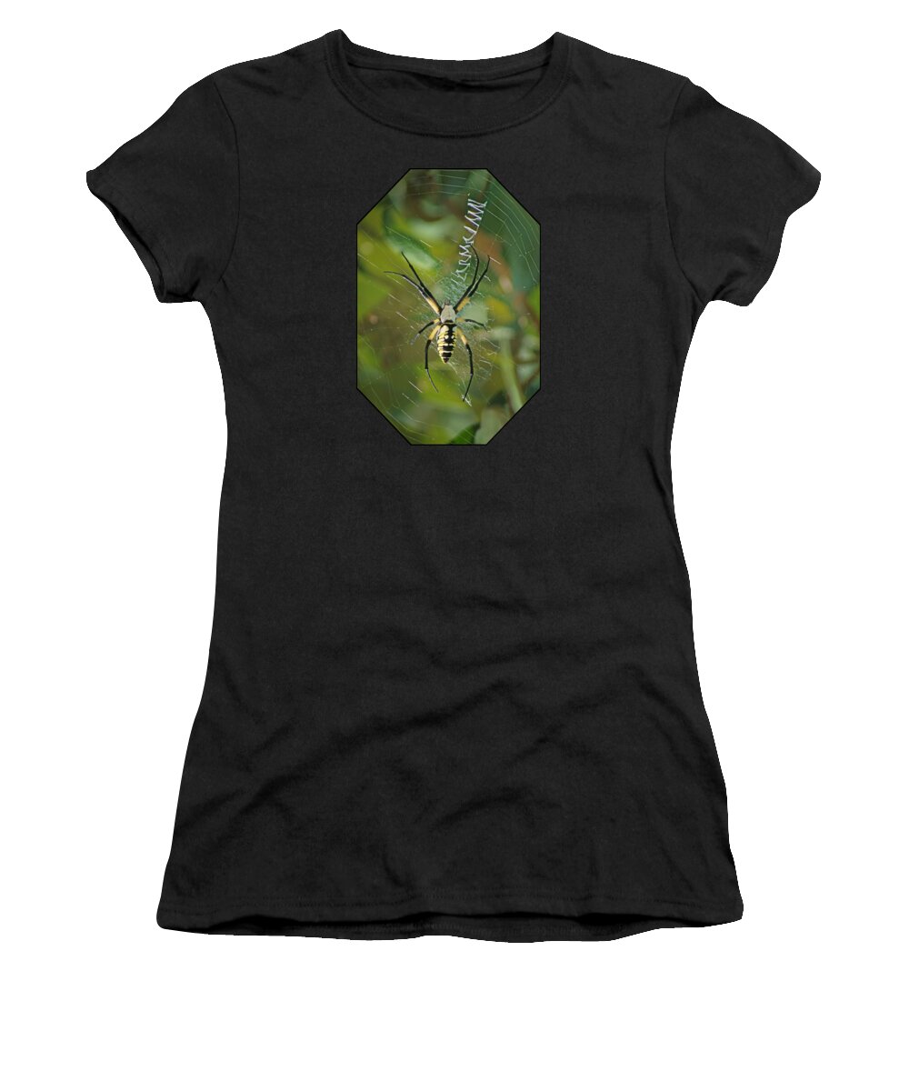 Insects Women's T-Shirt featuring the photograph Yellow Garden Spider by Nikolyn McDonald