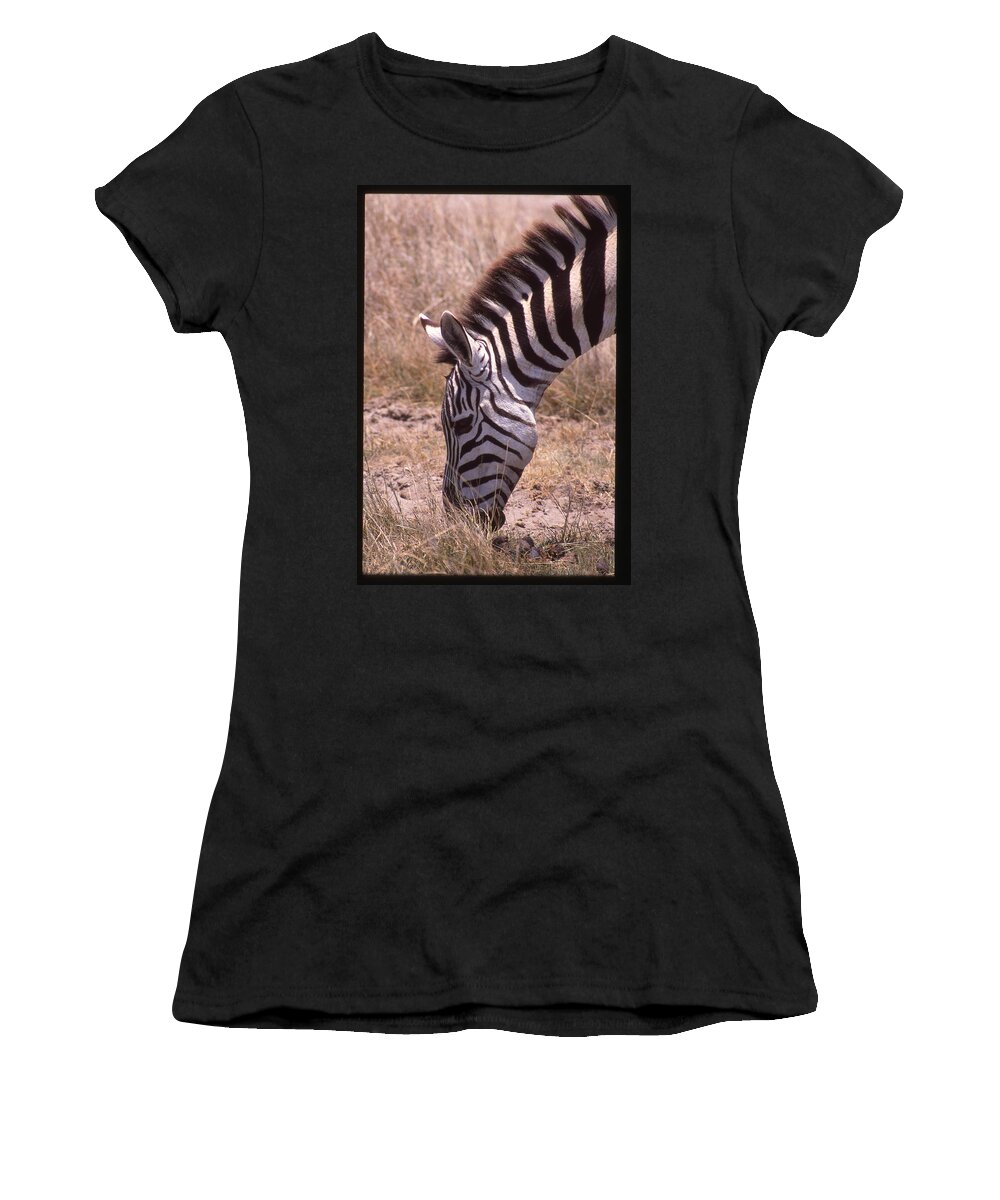 Africa Women's T-Shirt featuring the photograph Zebra Eating Up Close by Russel Considine