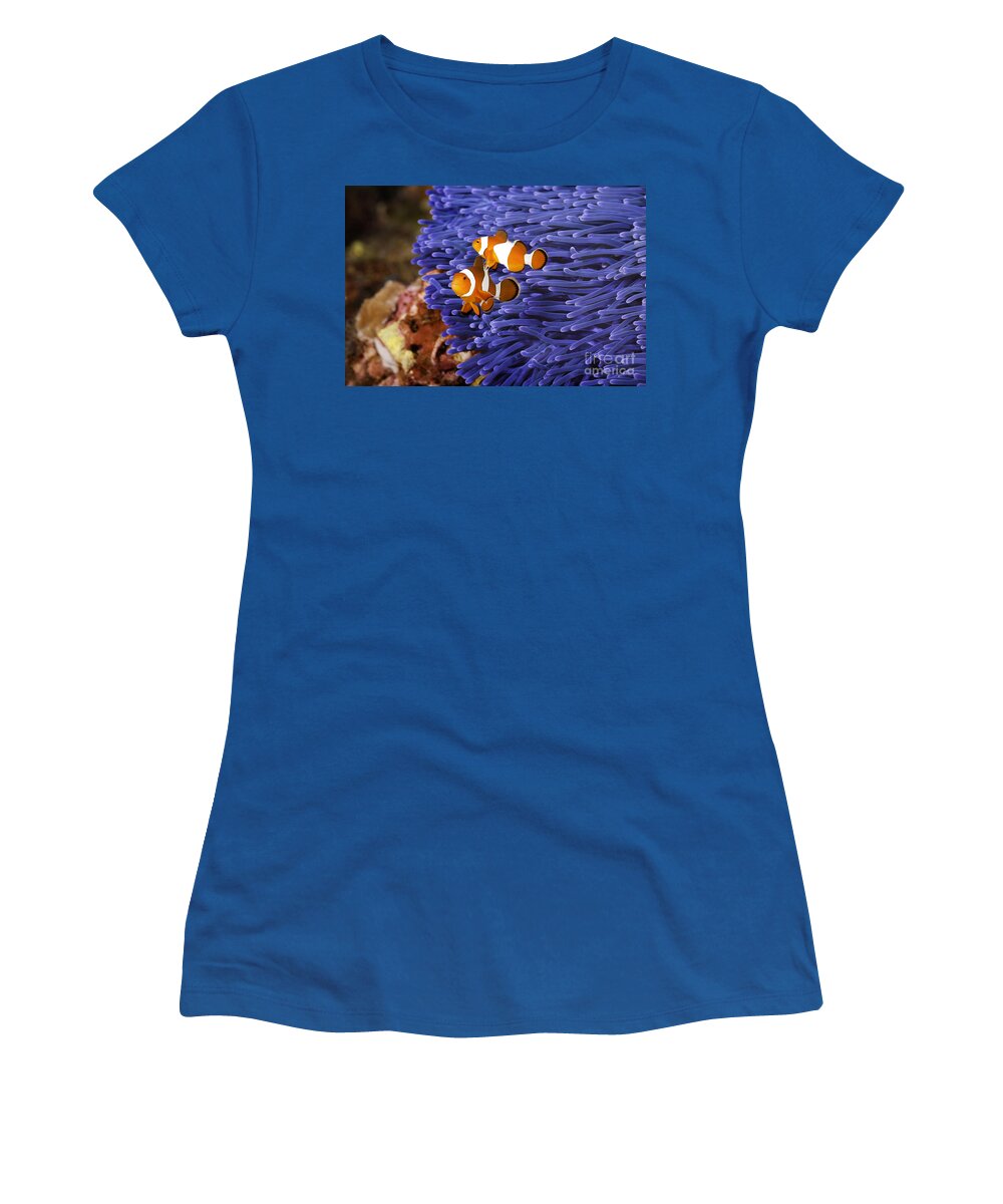  Anemone Women's T-Shirt featuring the photograph Ocellaris Clownfish by Anthony Totah
