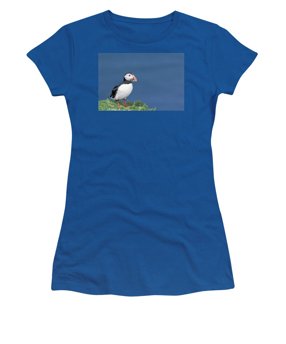 Feb0514 Women's T-Shirt featuring the photograph Atlantic Puffin In Breeding Color #1 by Tui De Roy