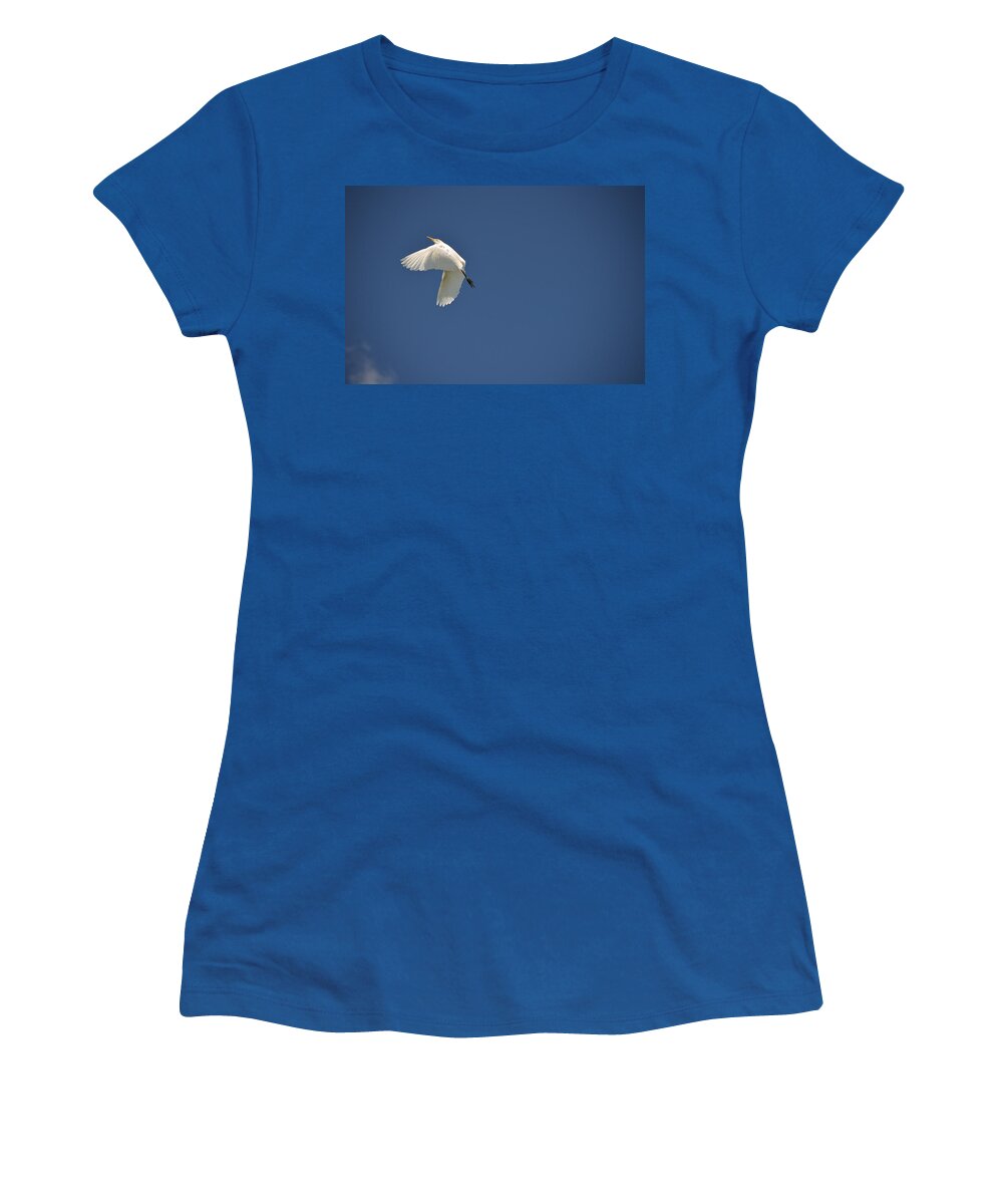 Wildlife Women's T-Shirt featuring the photograph 5- Cattle Egret by Joseph Keane