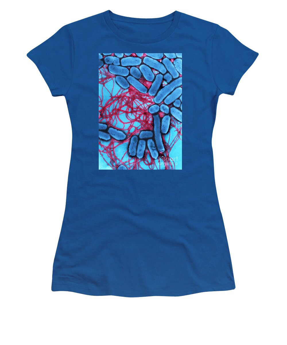 Bacteria Women's T-Shirt featuring the photograph B2201367 - Salmonella enteritidis by Spl