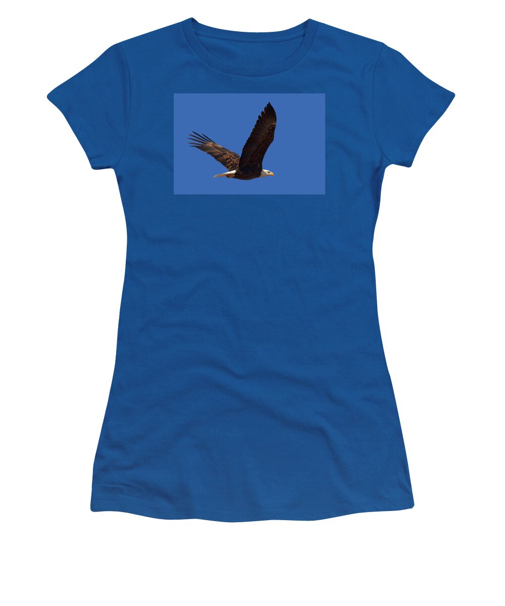 Bald Eagle Women's T-Shirt featuring the photograph Bald Eagle Fly By by Beth Sargent