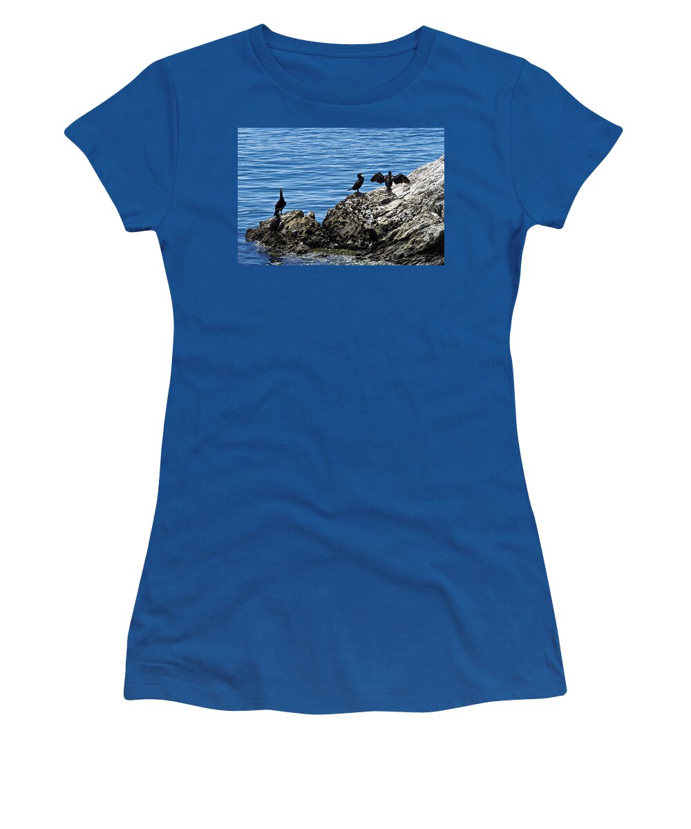 Bird Women's T-Shirt featuring the photograph Birds on rocks by Ivan Slosar