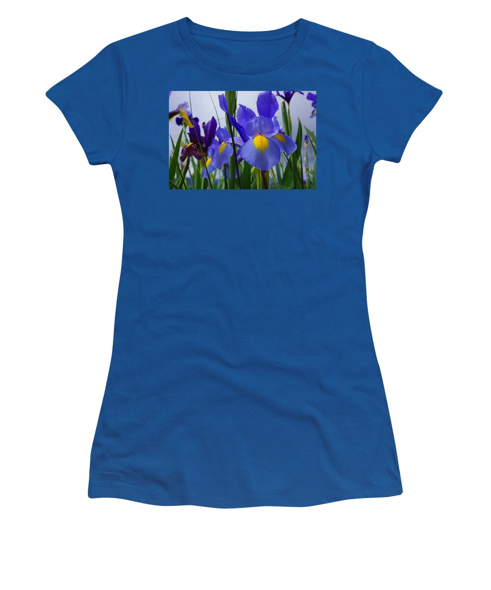 Bearded Irises Women's T-Shirt featuring the photograph Blue Purple Iris Flowers Art Prints by Patti Baslee