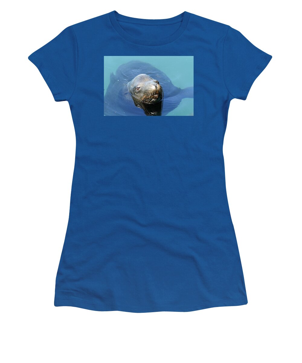 Sea Lion Women's T-Shirt featuring the photograph California Sea Life by Shoal Hollingsworth