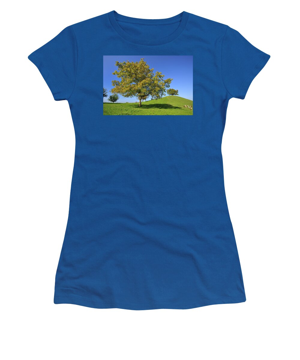 Feb0514 Women's T-Shirt featuring the photograph English Black Walnut Tree Switzerland by Thomas Marent
