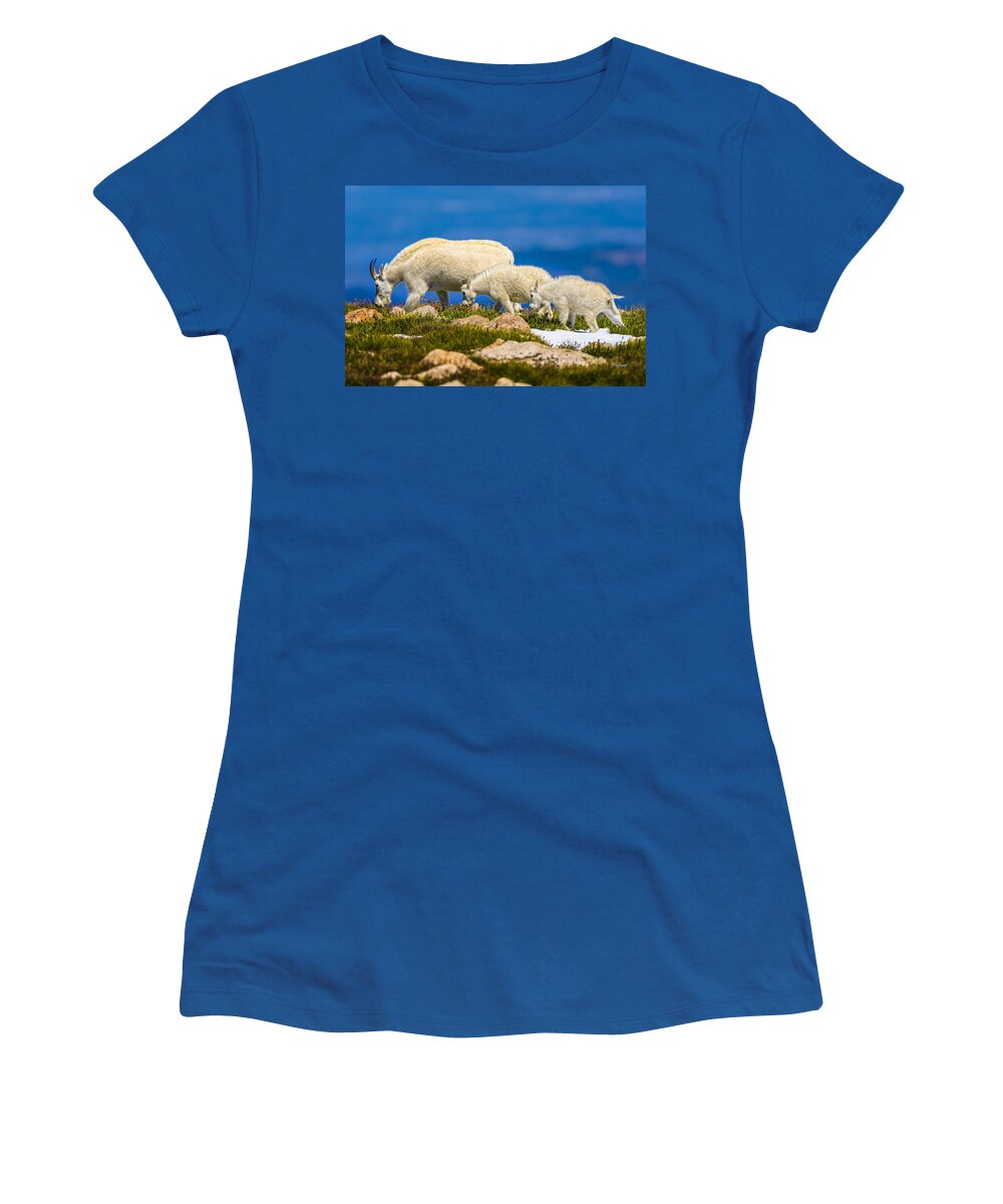 Mountain Women's T-Shirt featuring the photograph Family Outing by Fred J Lord