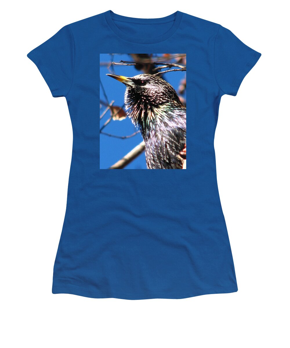 Bird Women's T-Shirt featuring the photograph Bird in Downtown Asheville by Cleaster Cotton
