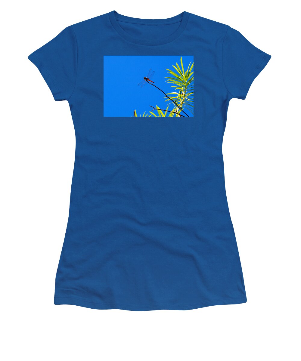 Dragonfly Women's T-Shirt featuring the photograph Flame Skippin by Joe Schofield