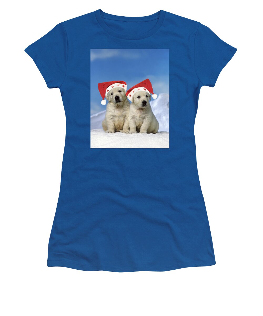 Golden Retriever Women's T-Shirt featuring the photograph Golden Retriever Puppies by Jean-Michel Labat