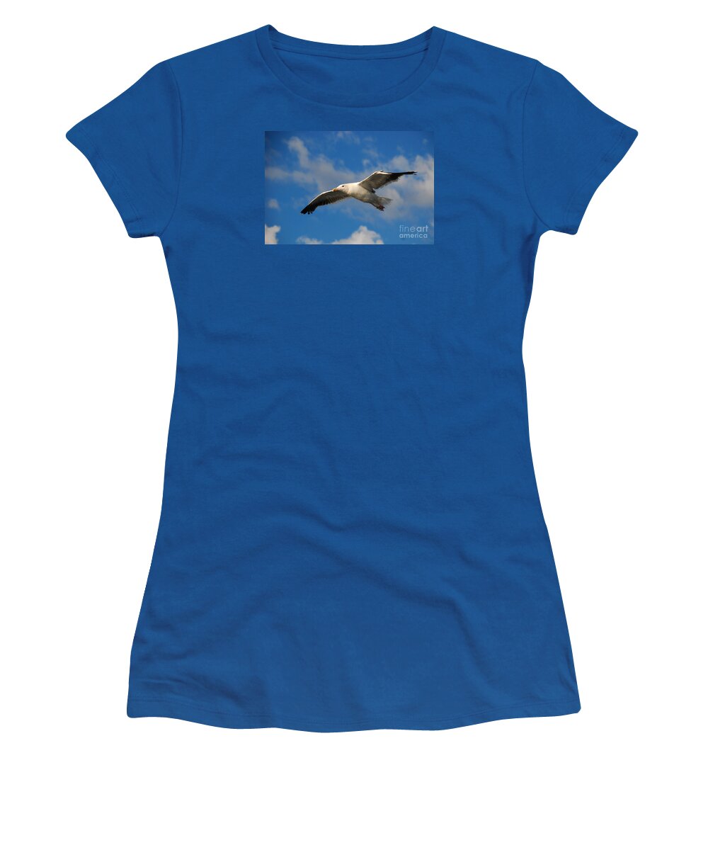 Seagull Sky Fly Soar Women's T-Shirt featuring the photograph Jonathan Livingston by Richard Gibb