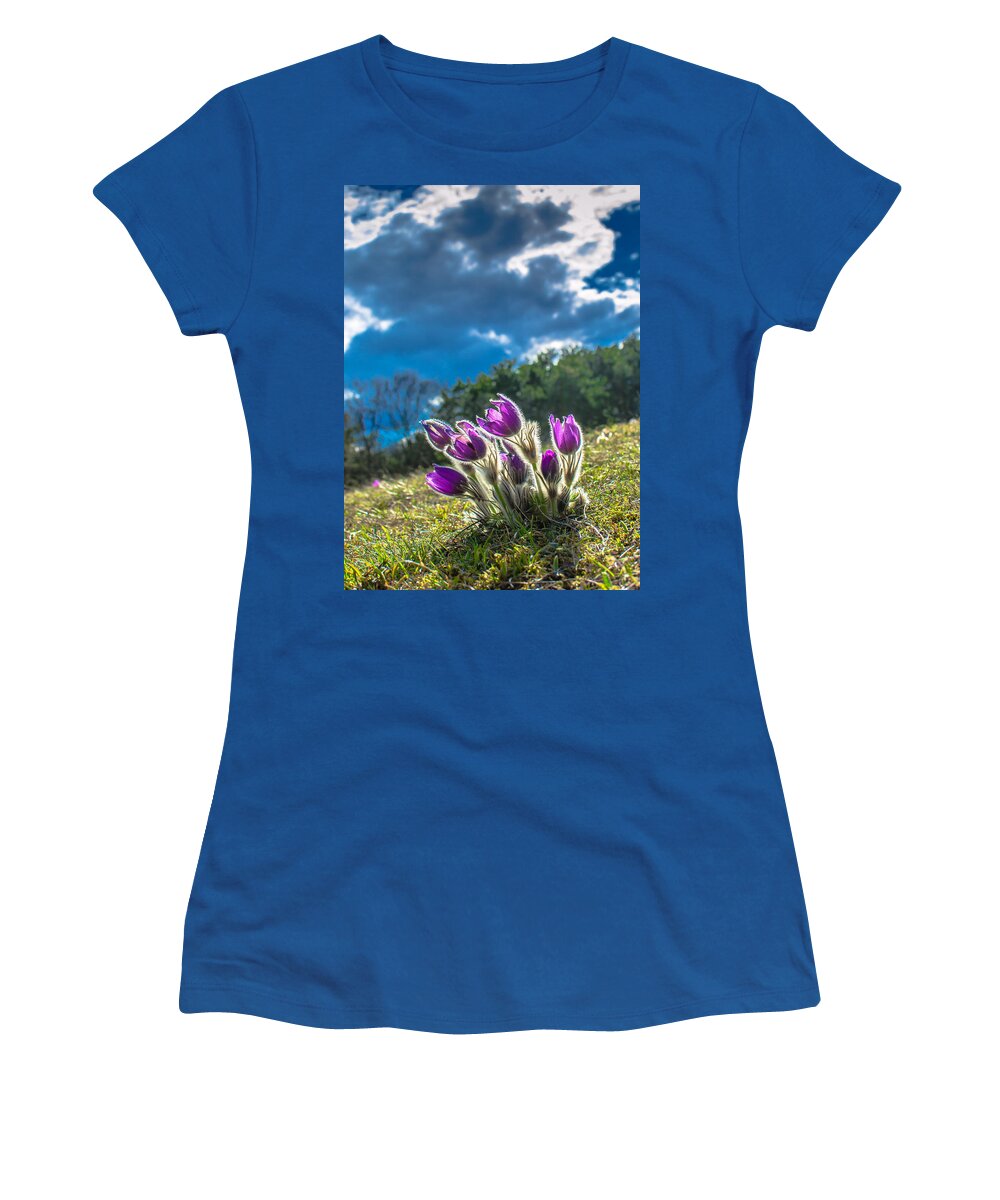 Flower Women's T-Shirt featuring the photograph Lady Of The Snows In The First Sunlight by Andreas Berthold