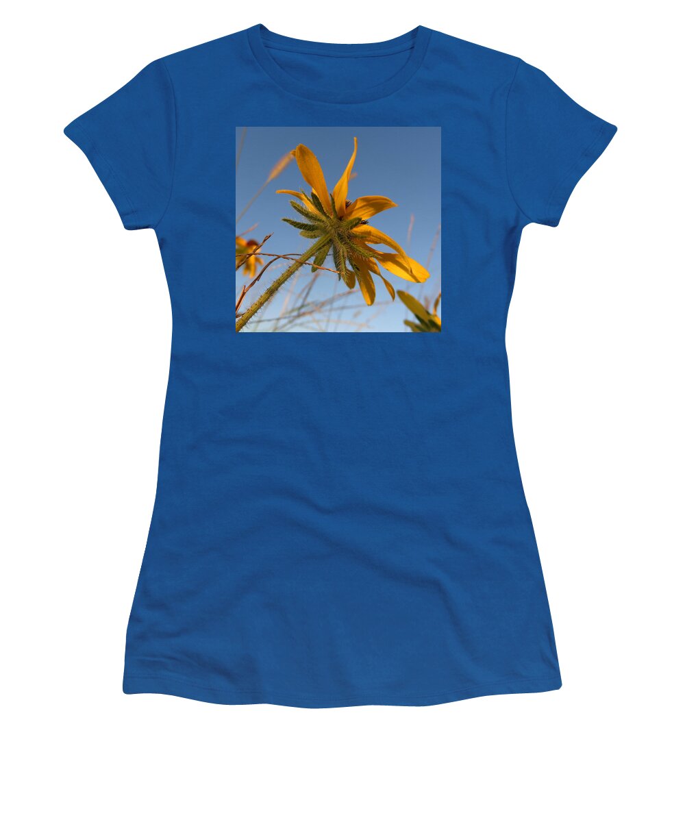 Skompski Women's T-Shirt featuring the photograph Miss Daisy by Joseph Skompski