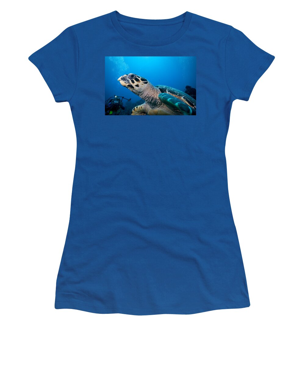 Hawksbill Turtle Women's T-Shirt featuring the photograph Oh that Paparazzi by Jean Noren