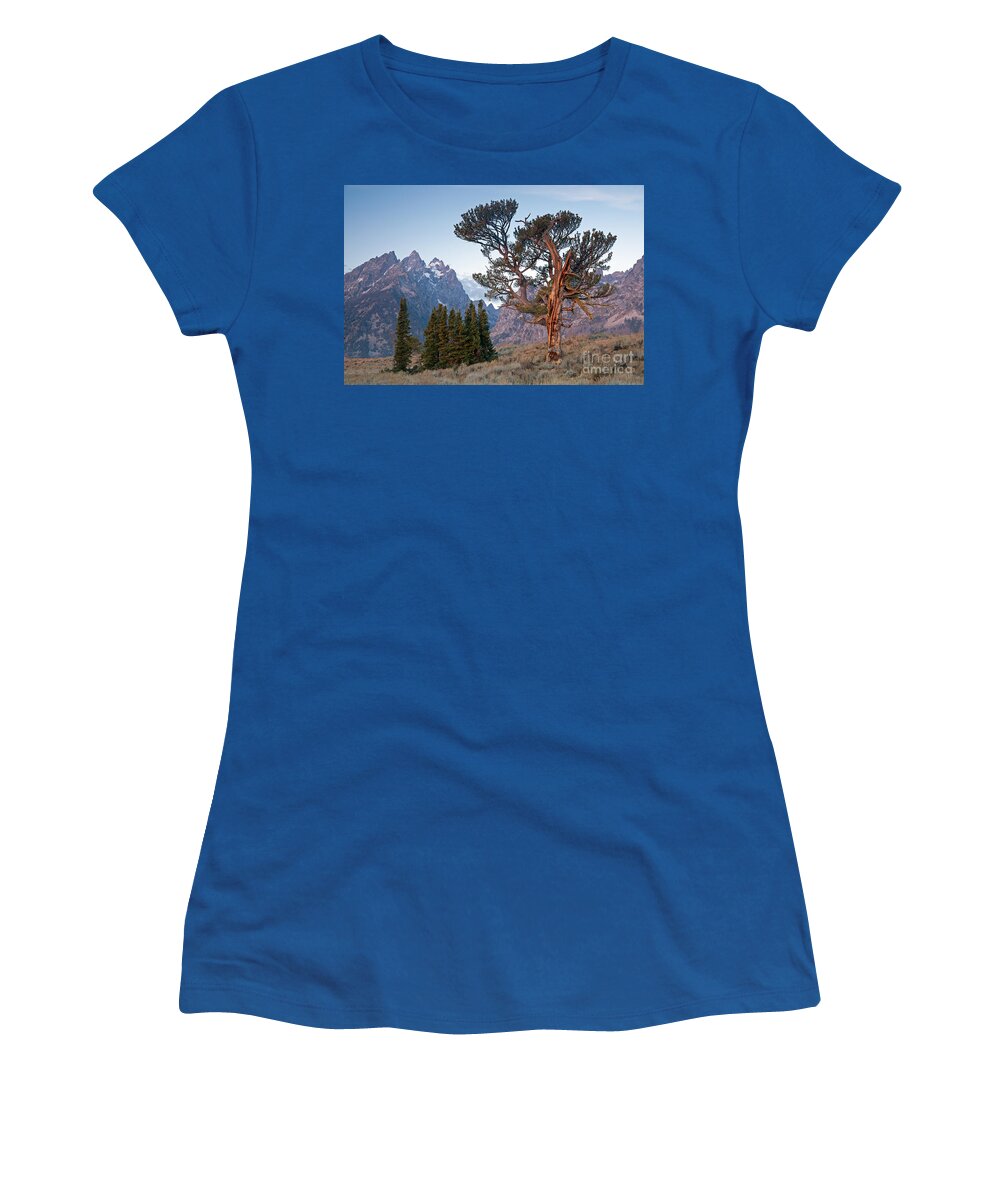 Autumn Women's T-Shirt featuring the photograph Old Patriarch Grand Teton National Park by Fred Stearns