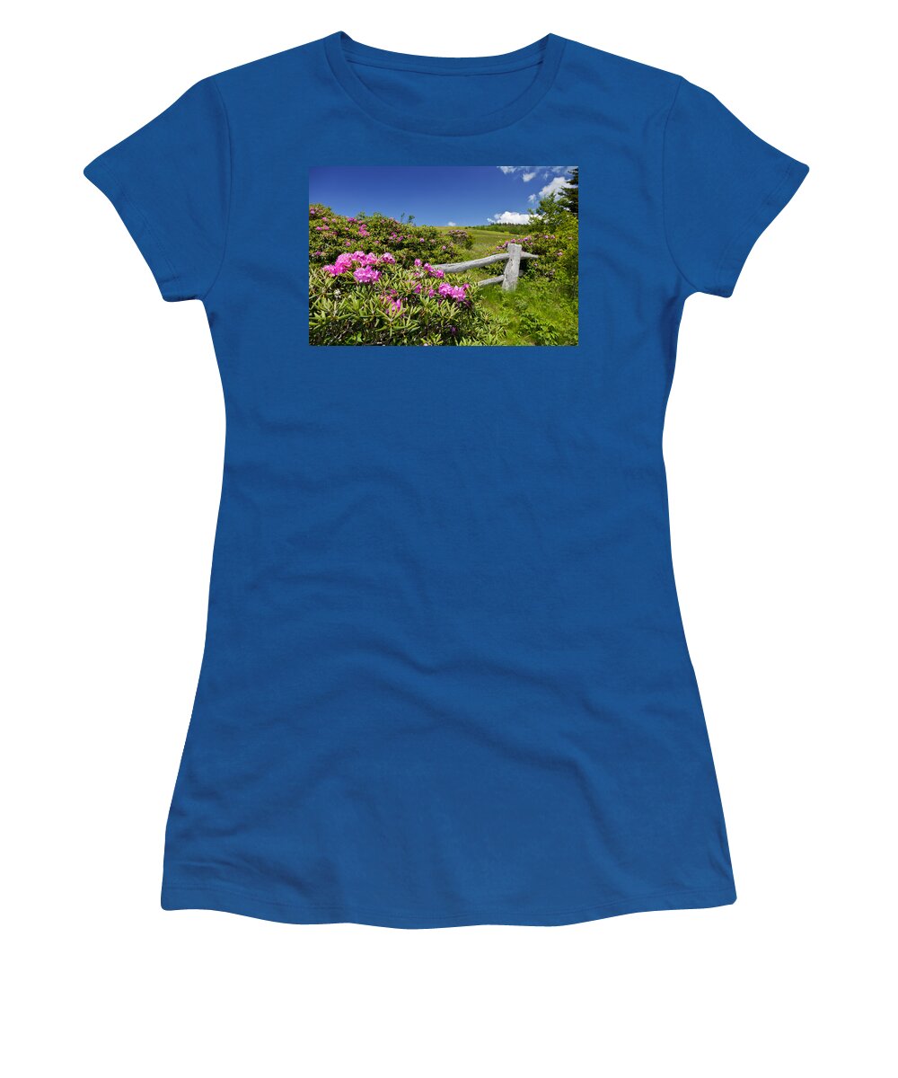 Carvers Gap Women's T-Shirt featuring the photograph Roan Mountain by Melinda Fawver