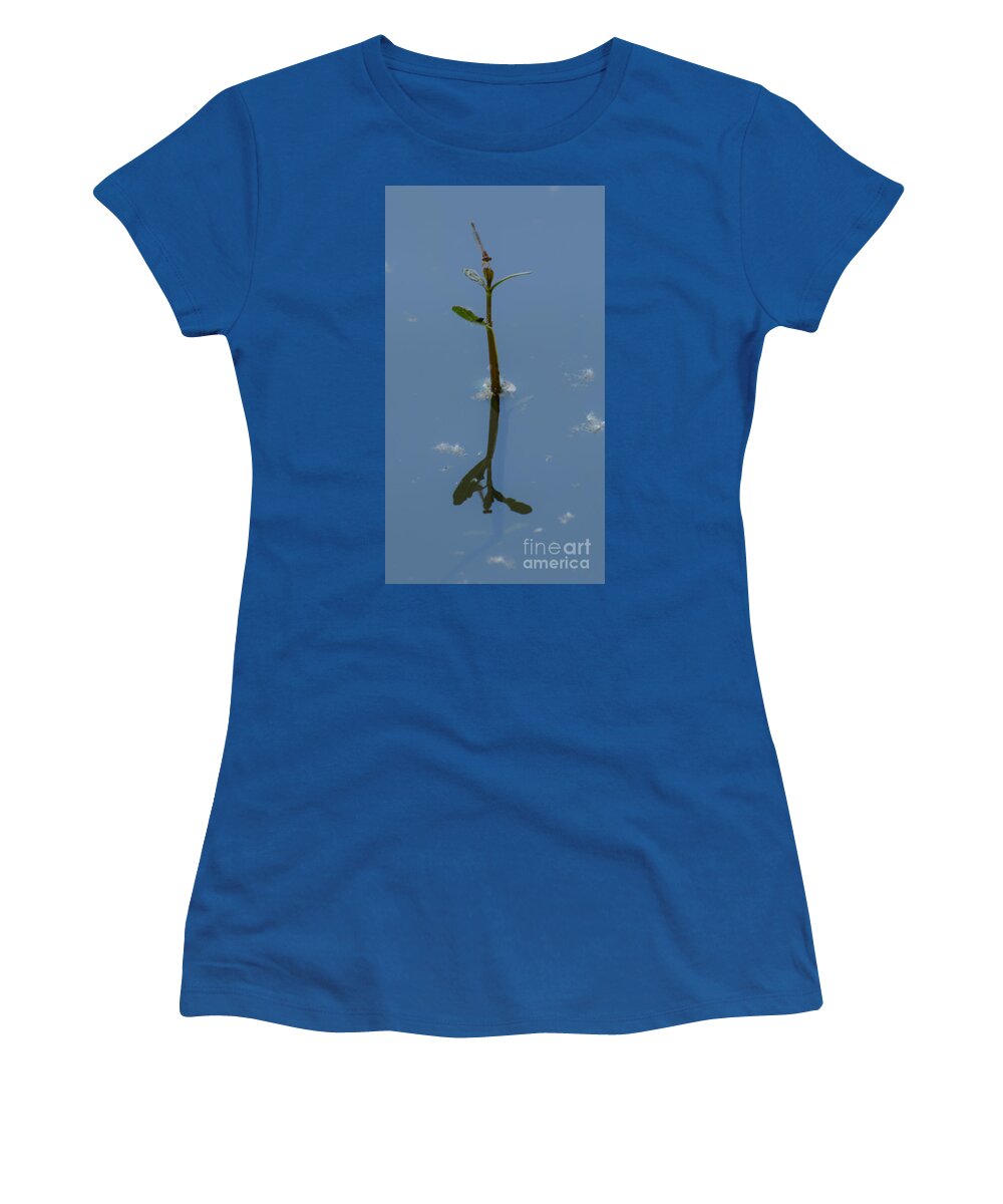 Dragonfly Women's T-Shirt featuring the photograph Shadow In The Water by Donna Brown