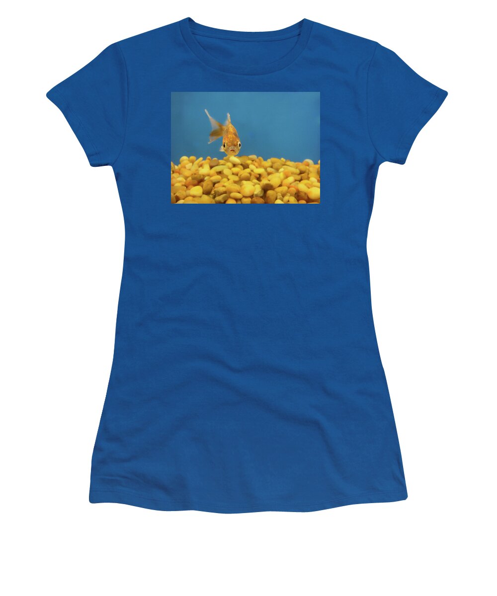 Fish Women's T-Shirt featuring the photograph Something Fishy by Donna Blackhall