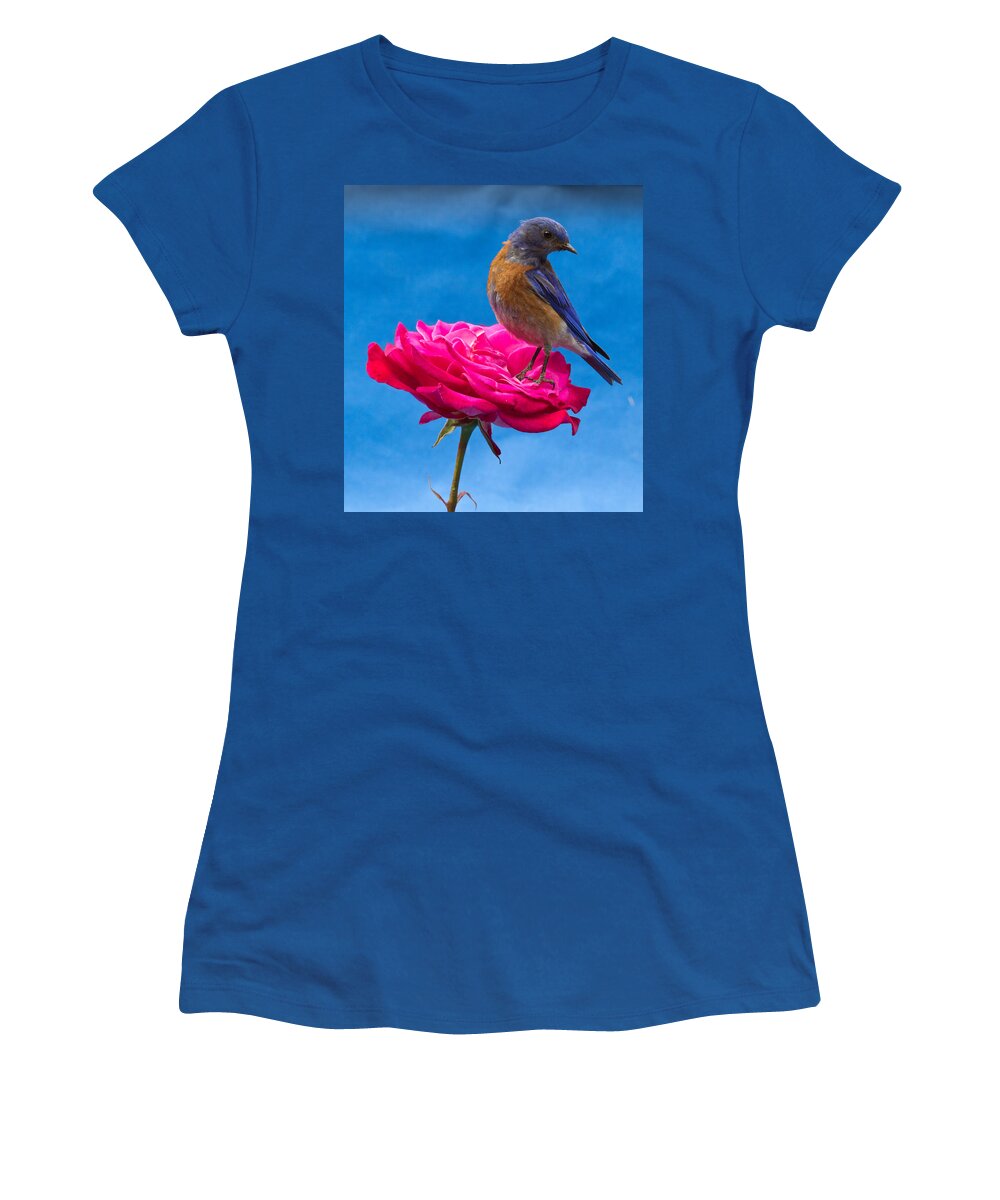 Animals Women's T-Shirt featuring the photograph Steady by Jean Noren