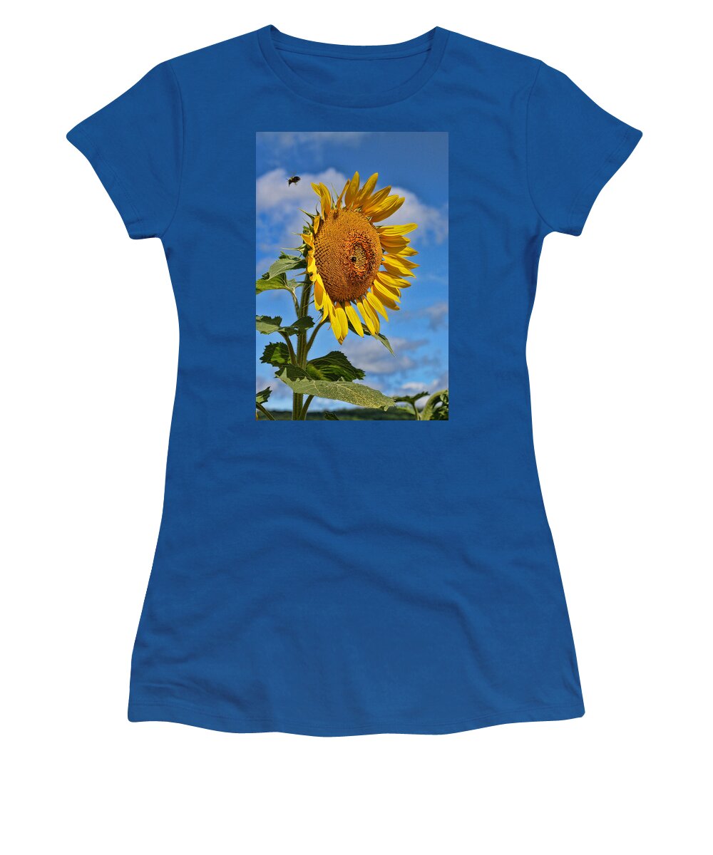 Yellow Women's T-Shirt featuring the photograph Sunflower Nirvana 20 by Allen Beatty