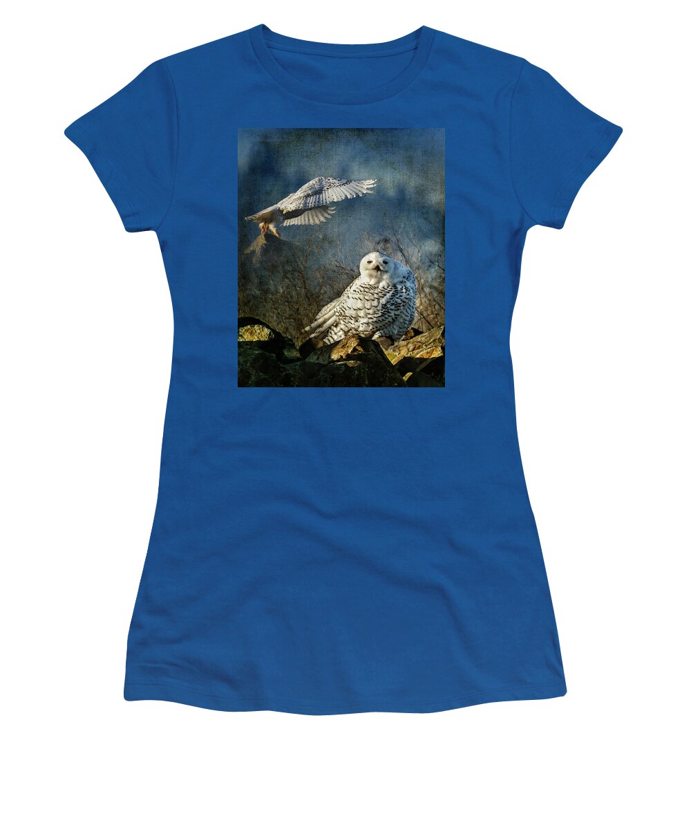 Snowy Owl Women's T-Shirt featuring the photograph The High Priestess by Belinda Greb