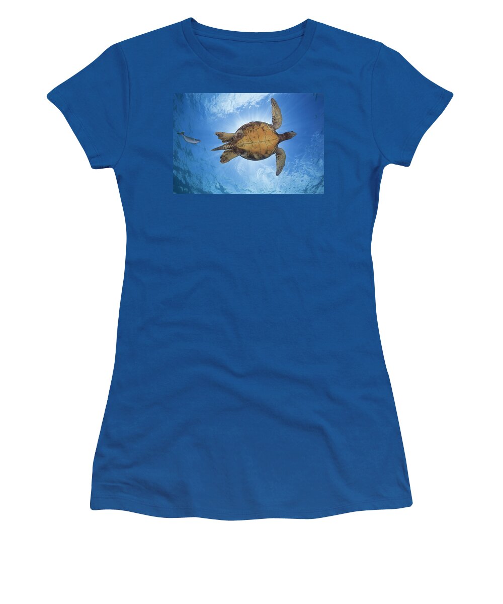 Blue Women's T-Shirt featuring the photograph This Male Green Sea Turtle Chelonia by Dave Fleetham