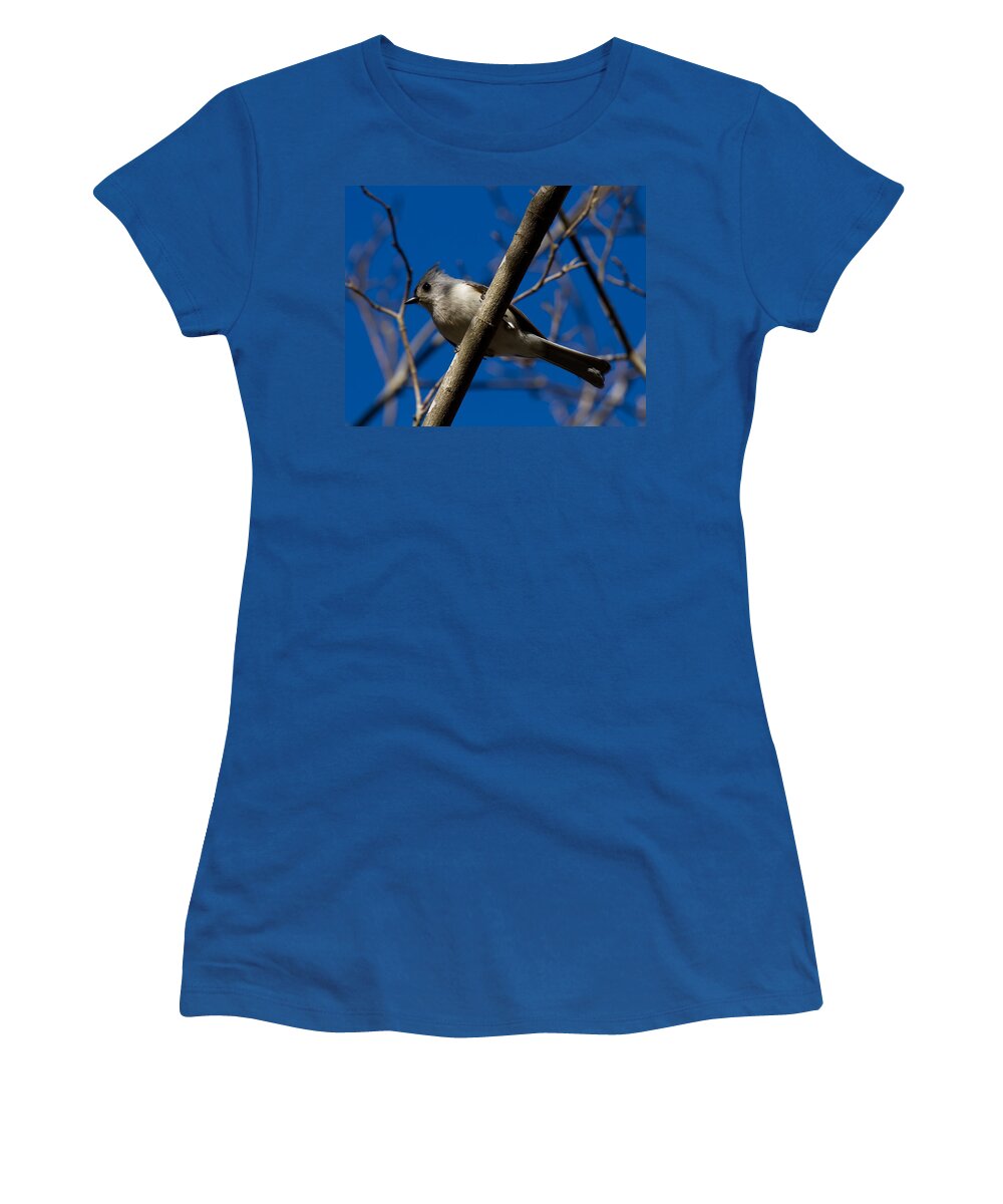 Tufted Titmouse Women's T-Shirt featuring the photograph Tufted Titmouse by Robert L Jackson