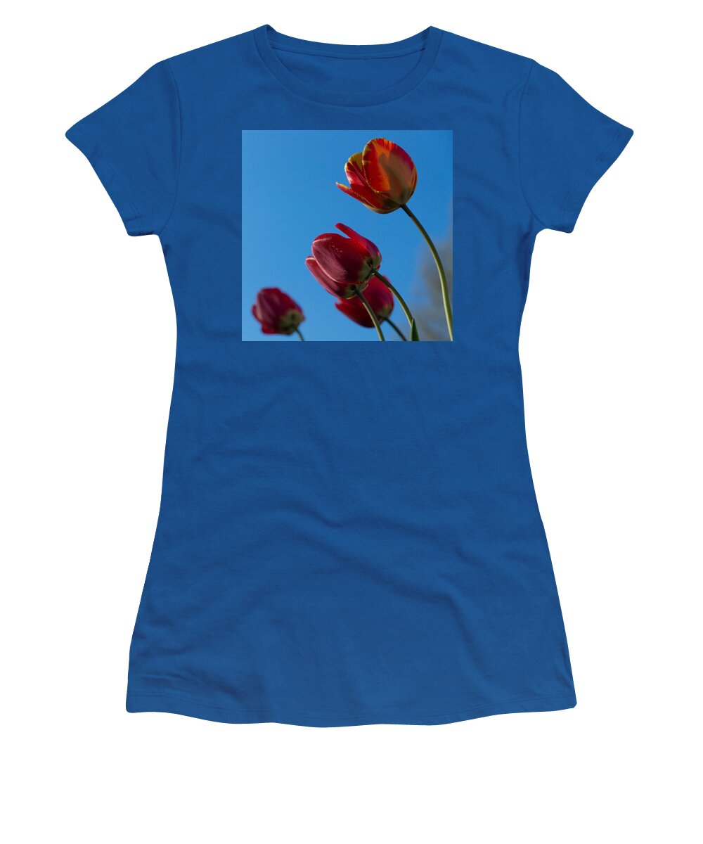 Tulip Women's T-Shirt featuring the photograph Tulips on Blue by Photographic Arts And Design Studio