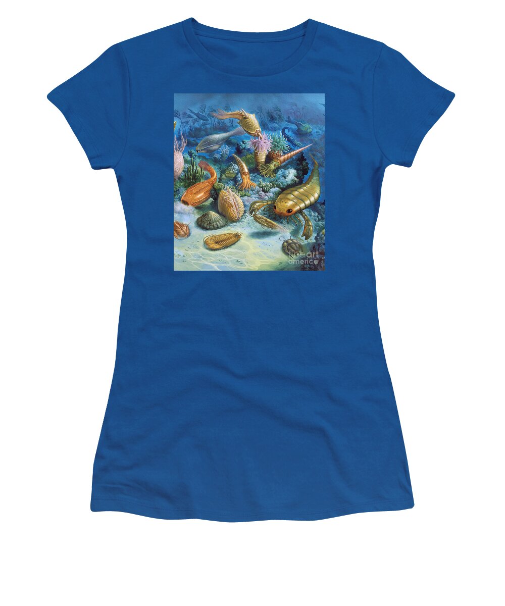 Illustration Women's T-Shirt featuring the photograph Underwater Life During The Paleozoic by Publiphoto