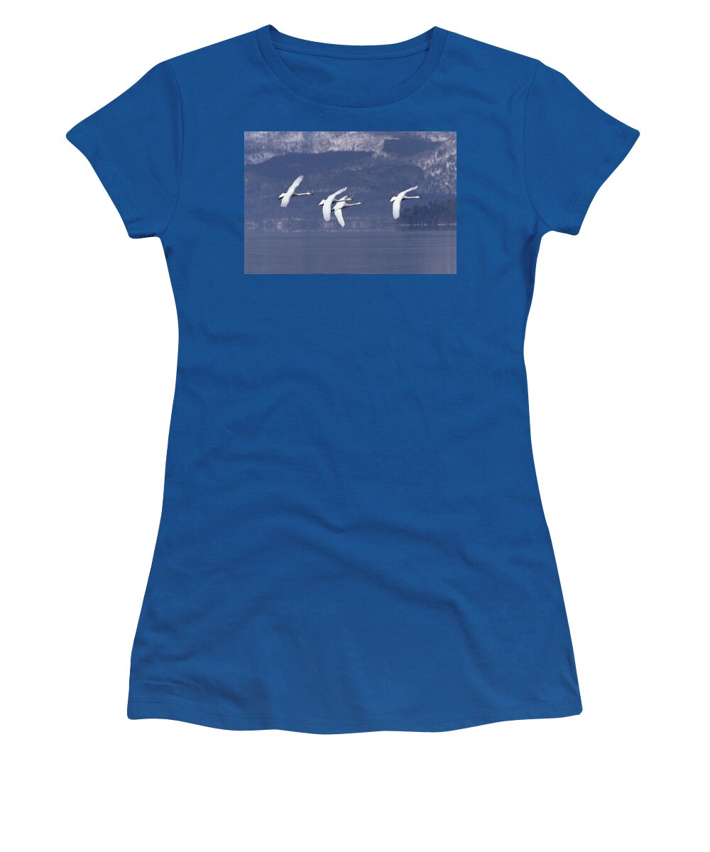 Feb0514 Women's T-Shirt featuring the photograph Whooper Swans Flying Hokkaido Japan by Konrad Wothe