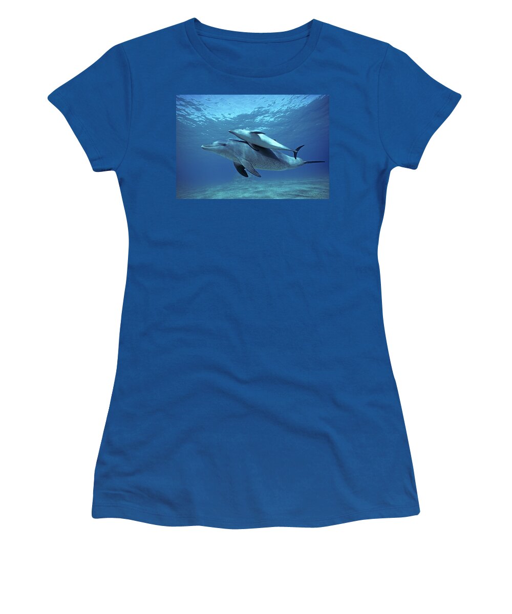 Horizontal Women's T-Shirt featuring the photograph Wild Bottlenose Dolphins Mother & Calf by Jeff Rotman