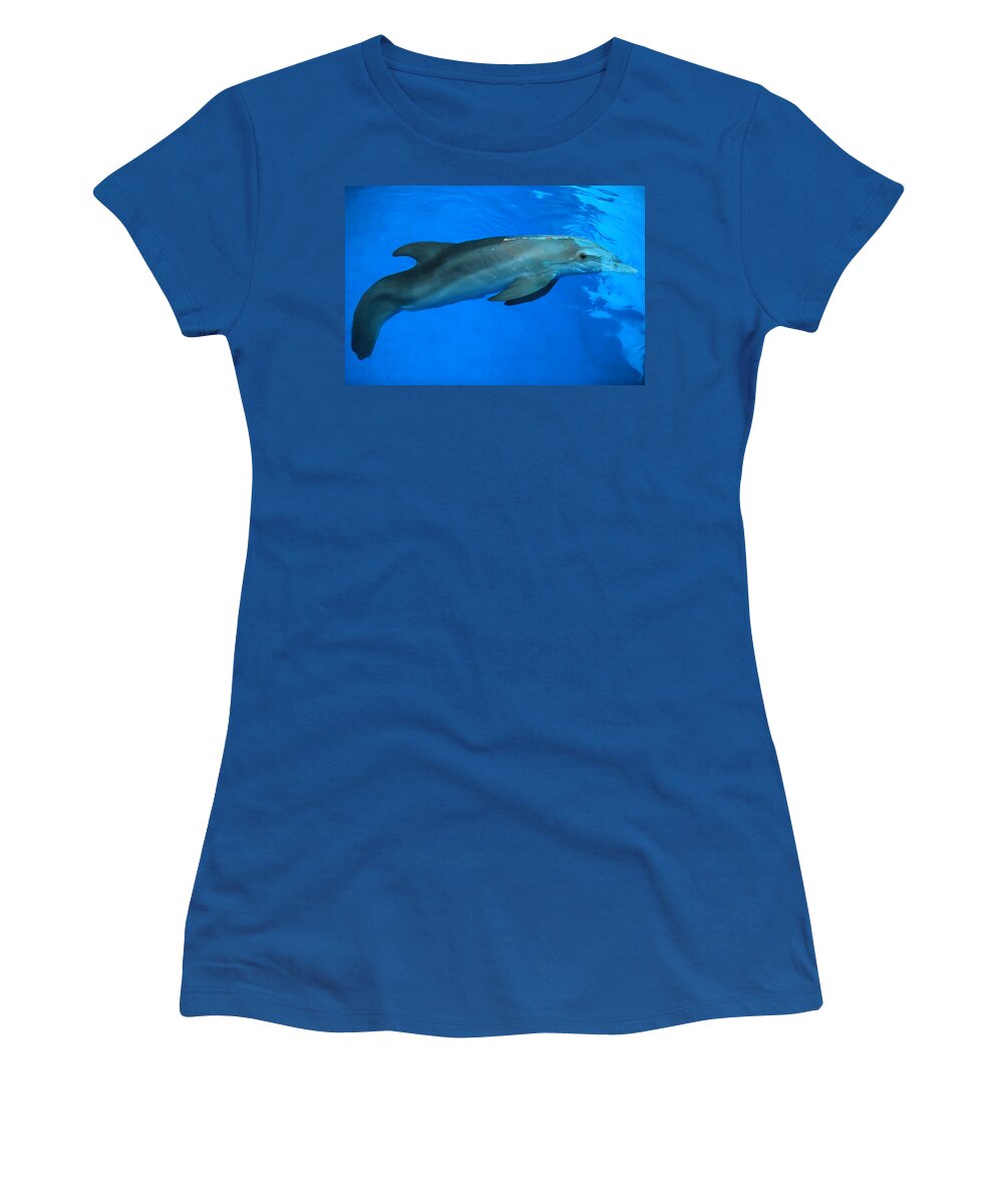 Nature Women's T-Shirt featuring the photograph Winter the Dolphin by Doug McPherson