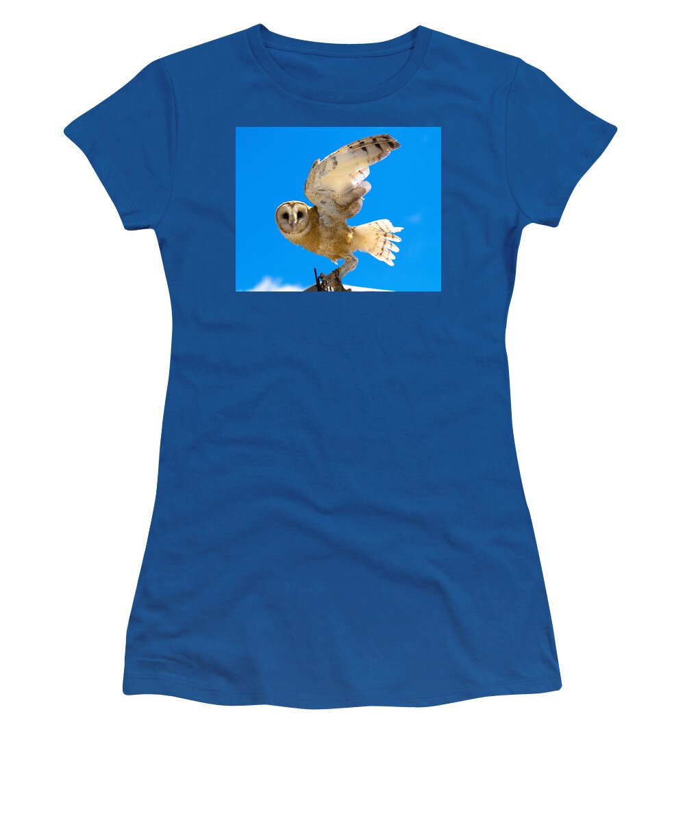 Barn Owl Women's T-Shirt featuring the photograph Yay No Barn Today by Robert L Jackson