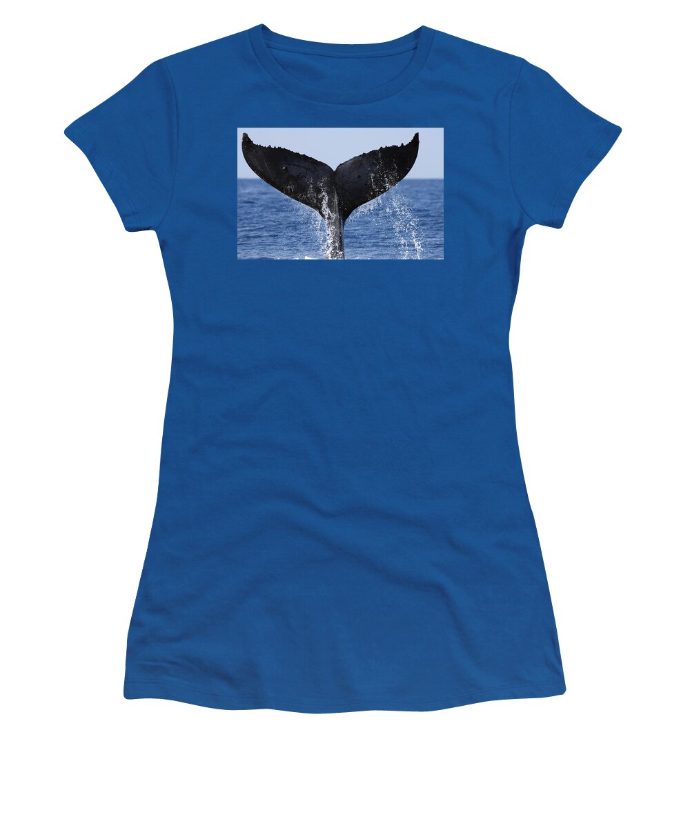 00439459 Women's T-Shirt featuring the photograph Humpback Whale Tail Maui Hawaii #1 by Flip Nicklin