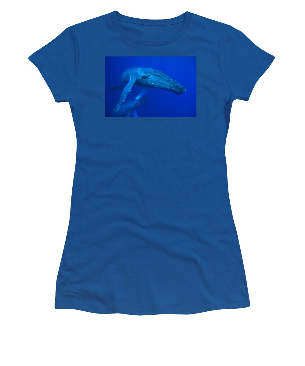 00999207 Women's T-Shirt featuring the photograph Humpback Whale Underwater Hawaii #2 by Flip Nicklin