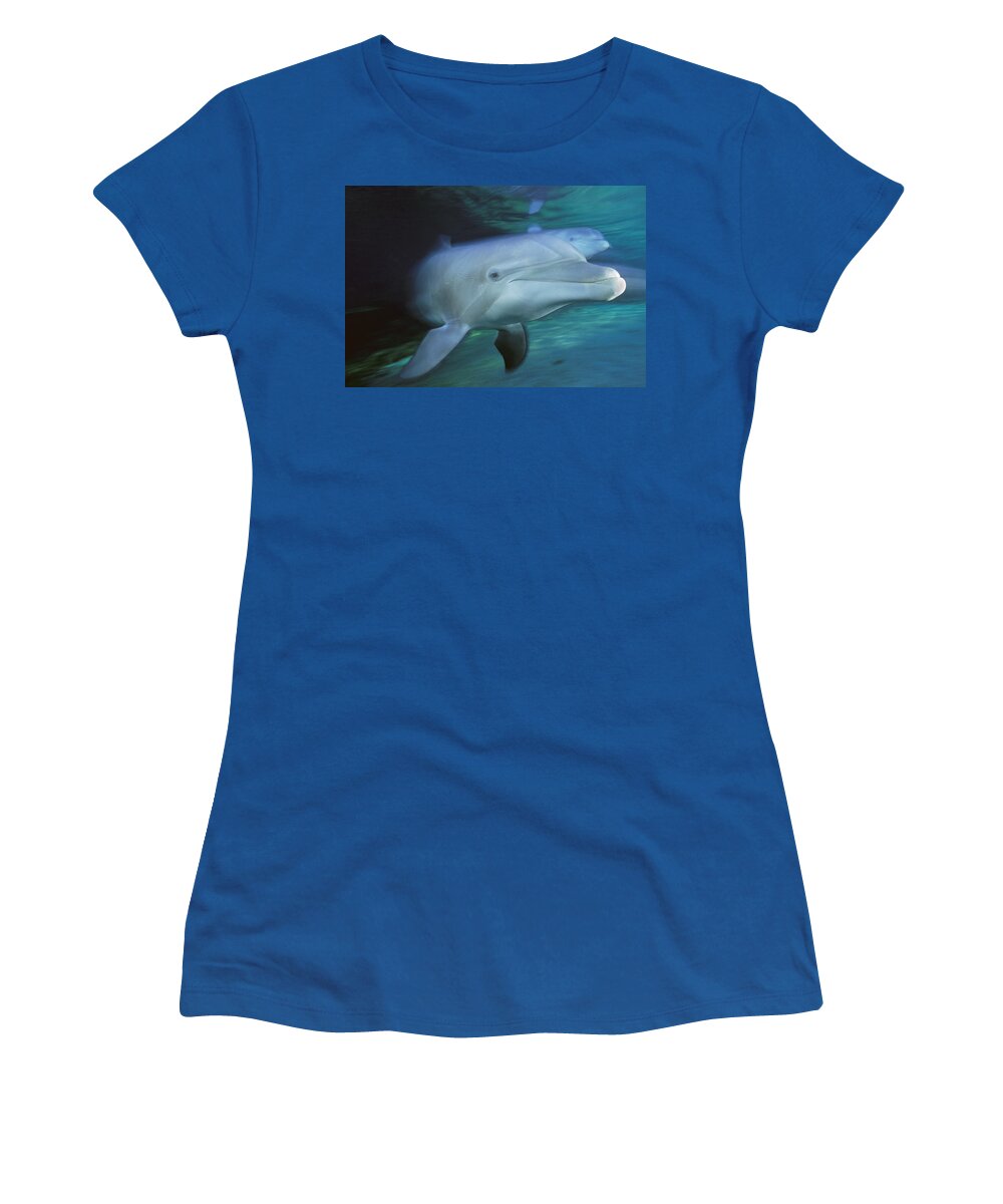 00127180 Women's T-Shirt featuring the photograph Bottlenose Dolphin Pair Swimming Hawaii by Flip Nicklin