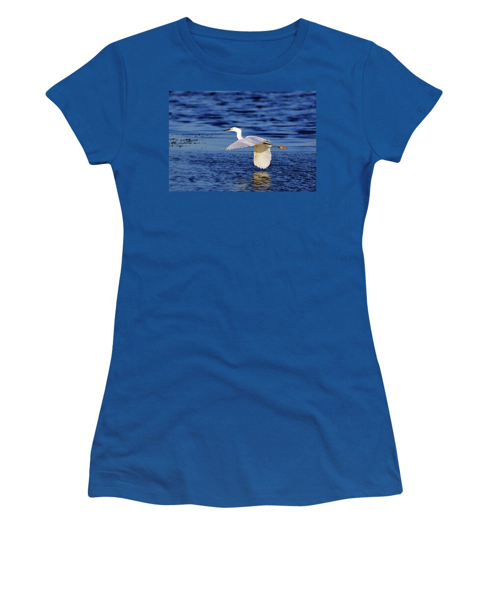 Snowy Women's T-Shirt featuring the photograph Evening Flight by Bill Dodsworth