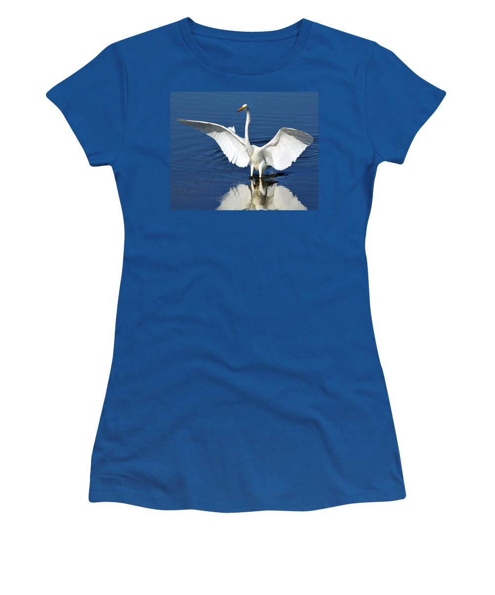 Great Women's T-Shirt featuring the photograph Great White Egret spreading its wings by Bill Dodsworth