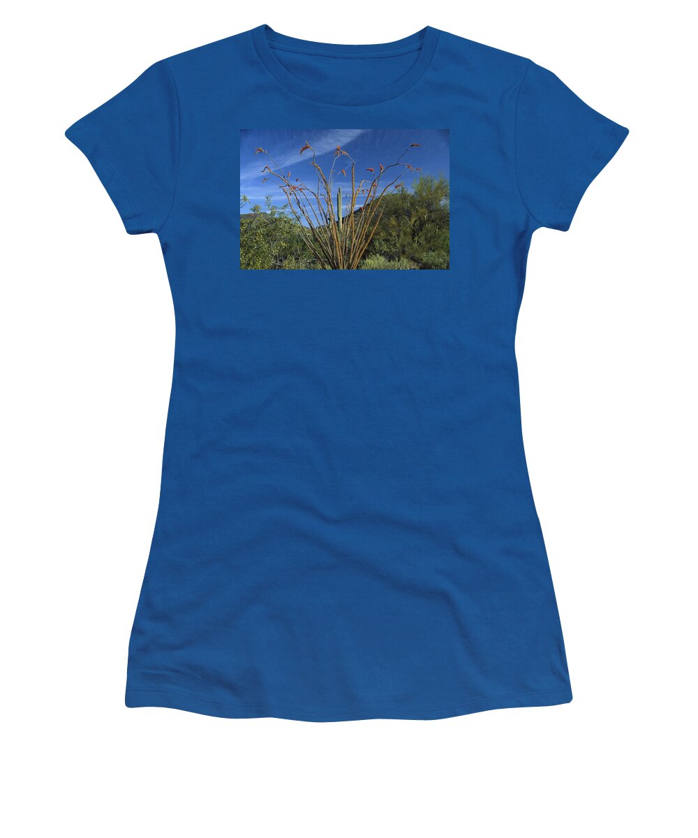 00171159 Women's T-Shirt featuring the photograph Ocotillo Saguaro And Palo Verde Arizona by Tim Fitzharris