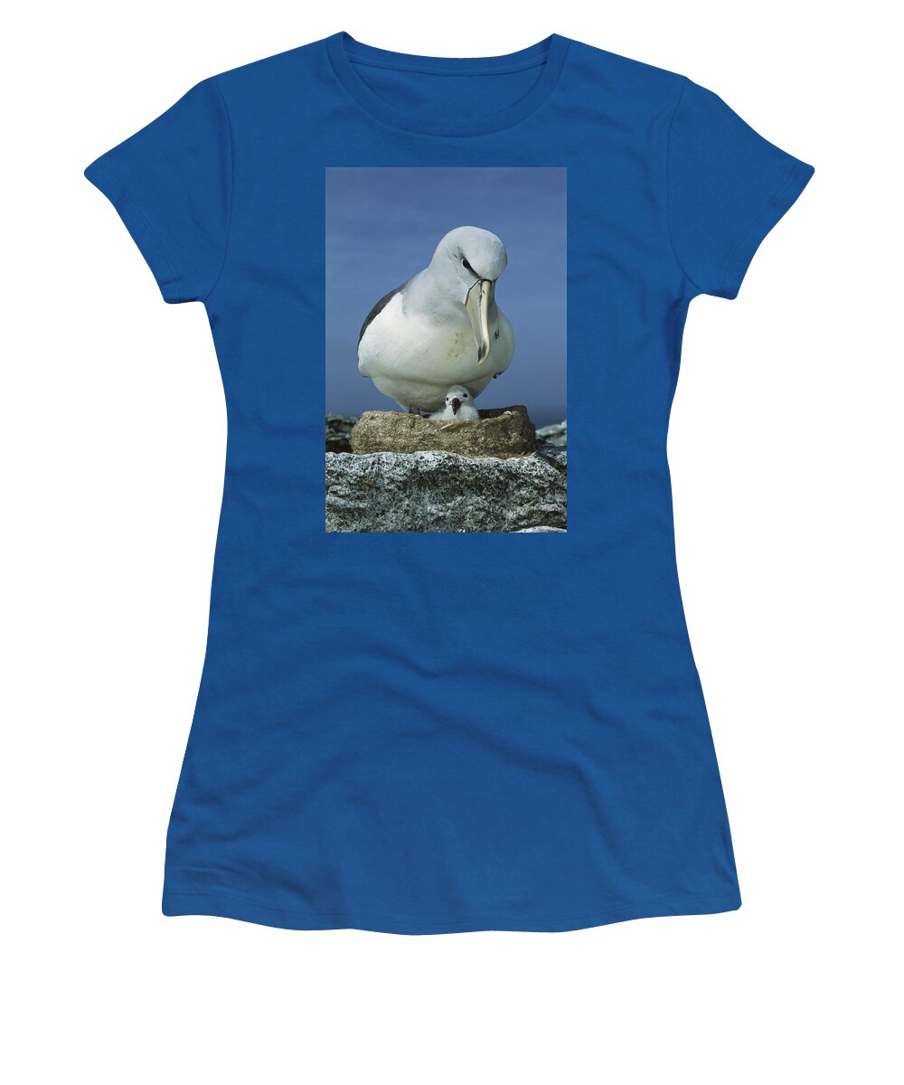 Mp Women's T-Shirt featuring the photograph Salvins Albatross Thalassarche Salvini by Tui De Roy