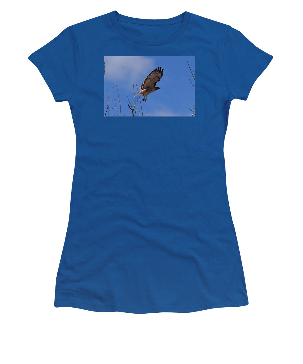 Hawk Women's T-Shirt featuring the photograph Red Tail Hawk Female Tower Rd Denver #1 by Margarethe Binkley