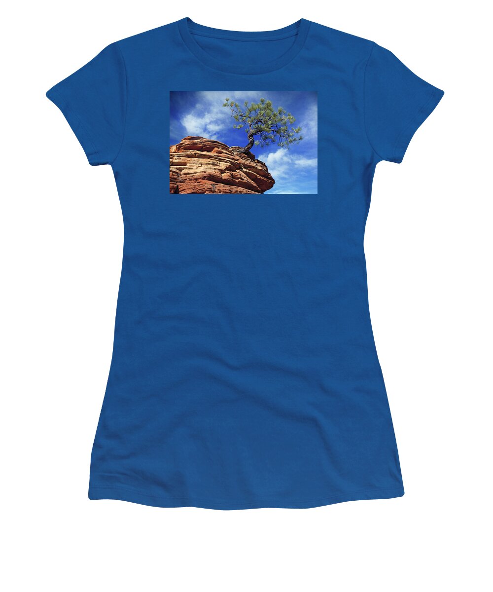 Pine Tree Women's T-Shirt featuring the photograph Pine Tree in Sandstone #1 by Douglas Pulsipher