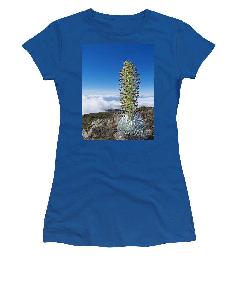 Above Women's T-Shirt featuring the photograph Haleakala Silversword #5 by Ron Dahlquist - Printscapes