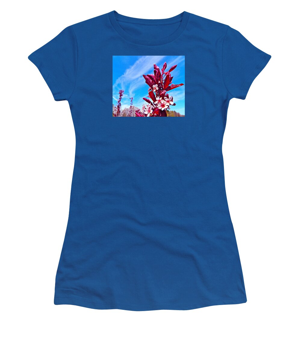 Flowers Women's T-Shirt featuring the photograph Aglow With Beauty by Randy Rosenberger