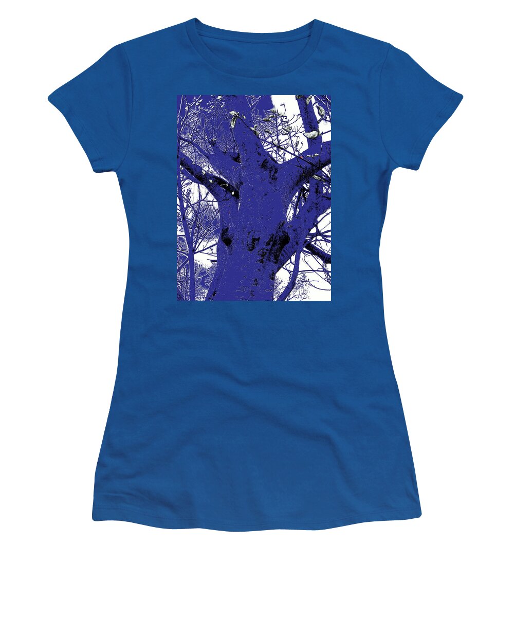 Landscape Women's T-Shirt featuring the photograph Blue Ice by Edward Smith